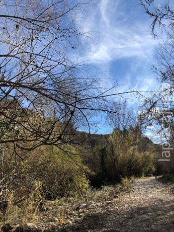 Ruta de Los Molinos (Alborache)