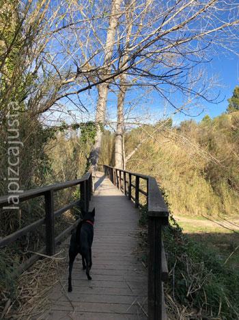 primer puente de la ruta de los Molinos