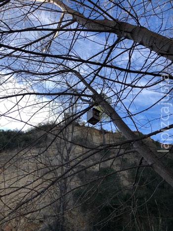 Casa de los pájaros en la ruta de los Molinos
