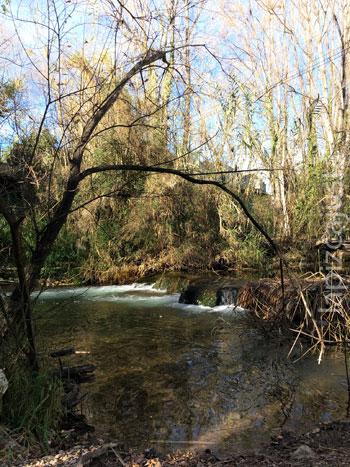 primer molino de la ruta
