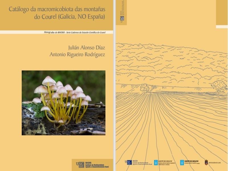Portada y contraportada del catálogo. Crédito ALONSO & RIGUEIRO (2020)