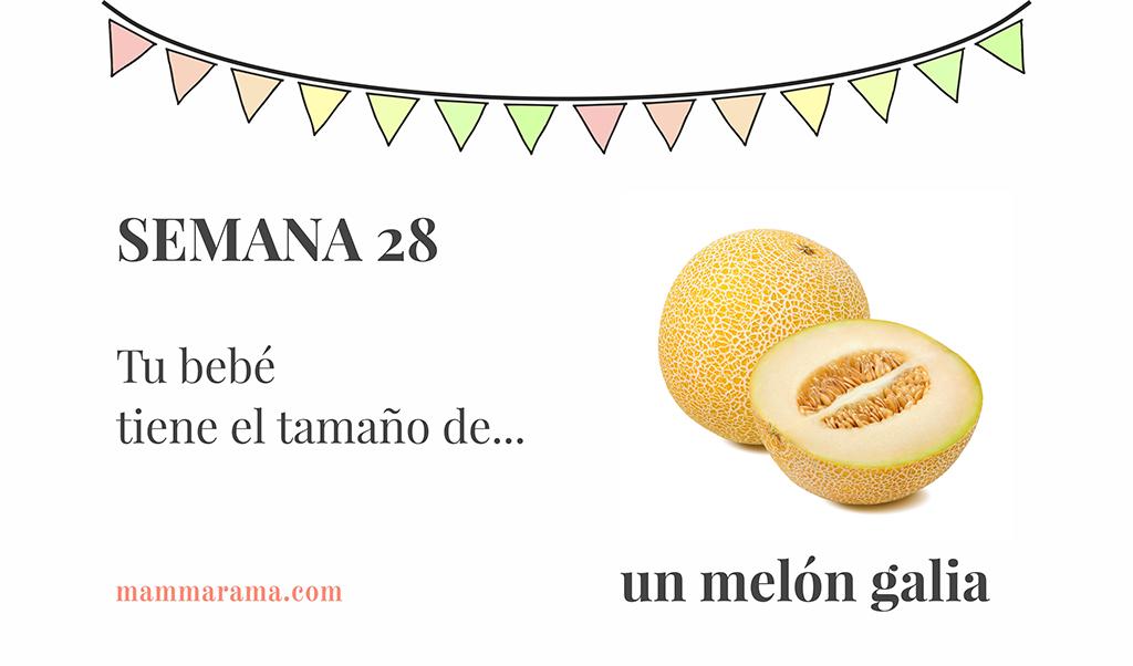 Semana 28 de embarazo: tu bebé tiene el tamaño de un melón galia
