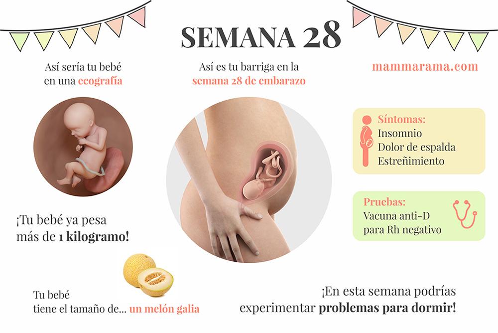 semana 28 de embarazo: síntomas pruebas ecografía tamaño bebé barriga