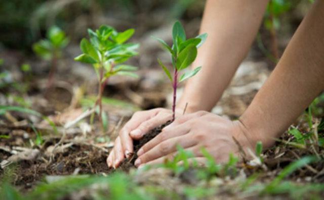 Regulación de las concesiones a subvenciones de iniciativas locales en el ámbito del medio ambiente