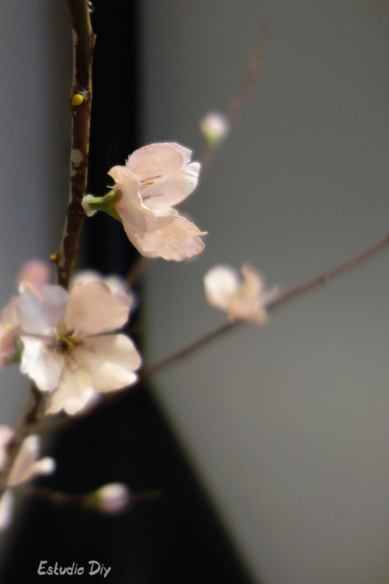 colocacion de flor de cerezo