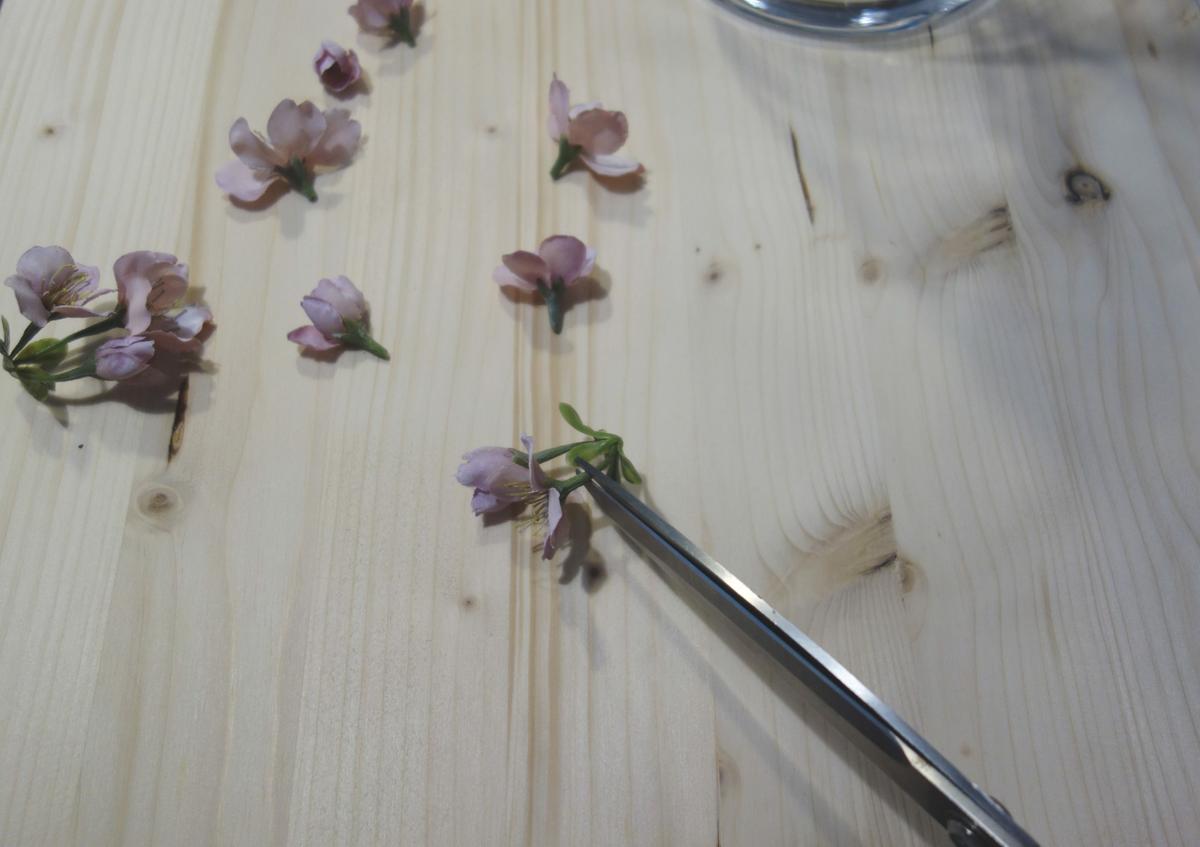 paso a paso para cortar flores