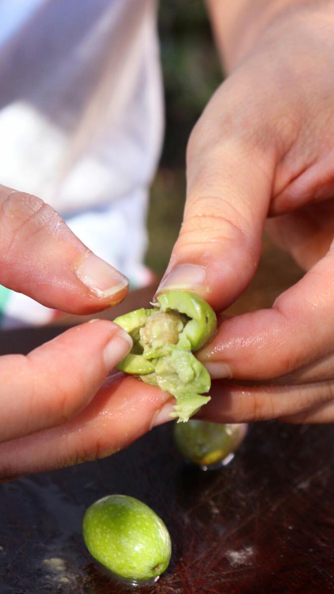 curar aceitunas verdes olive schiacciate