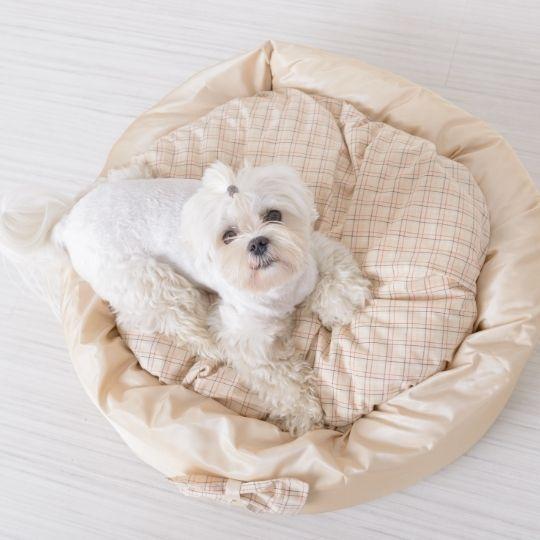 perro se orina en su cama