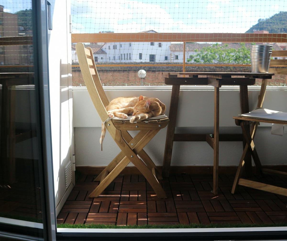 Gato en balcón