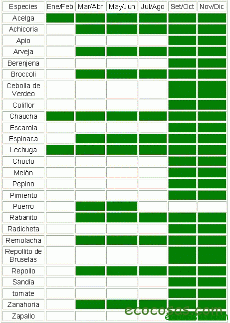 Huerto en macetas o macetohuerto. Qué plantar y cómo empezar 1