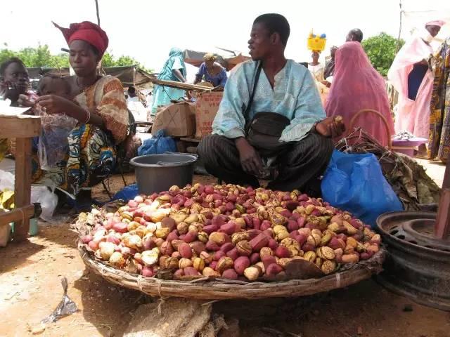 Nuez de Cola: 7 Beneficios de un alimento especial 3