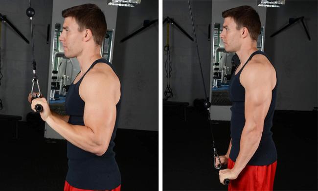 Resultado de imagen para curl tricep cable