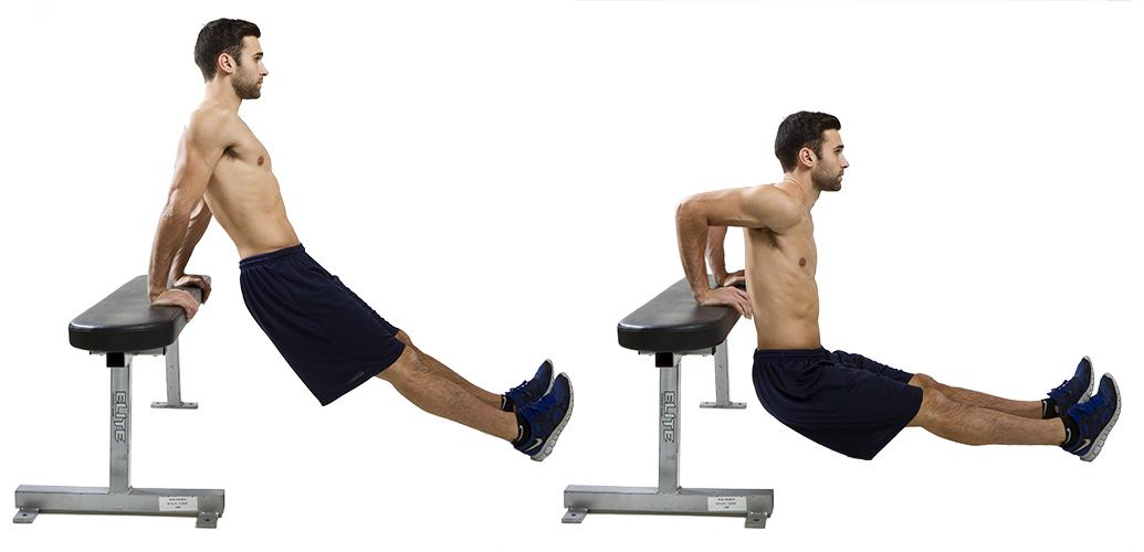 Resultado de imagen para tricep dip