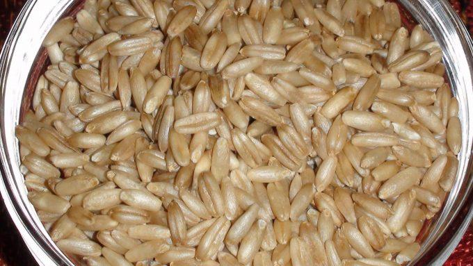 ¿Cuáles son los Tipos de Avena más conocidos? 3