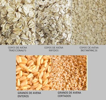 ¿Cuáles son los Tipos de Avena más conocidos? 4