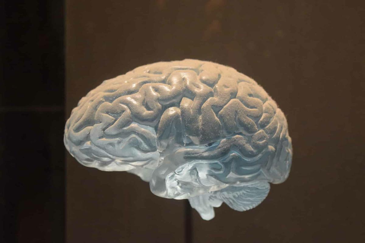 neurofeedback
