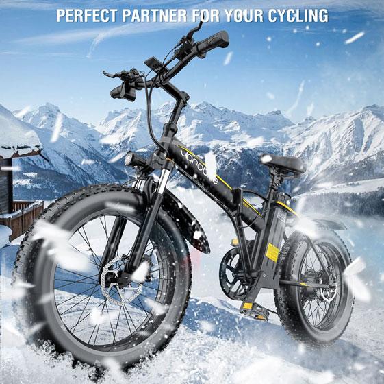 Janobike E20