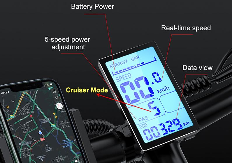Janobike E20 - Pantalla LCD