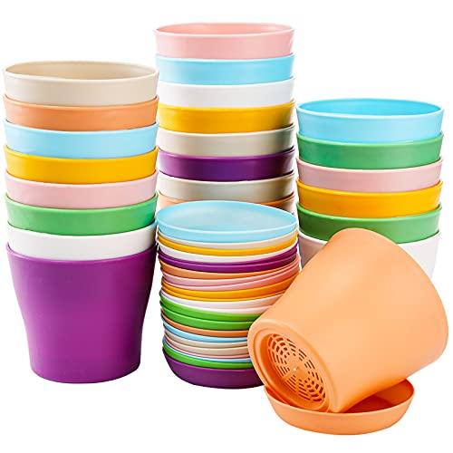 Tosnail - Macetas...