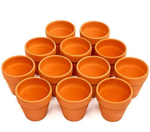 Garden Mania - 12 Macetas...