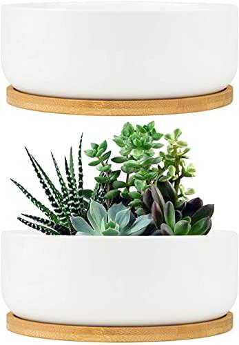 FairyLavie Macetas de...