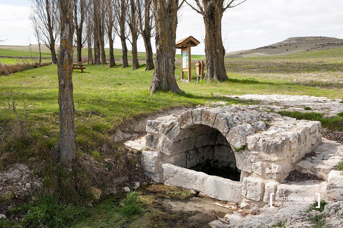 Fuente de romana de Antagüeros. Tiedra. Señalización del la ruta de las fuentes en Tiedra. Valladolid. Castilla y León. España. © Javier Prieto Gallego