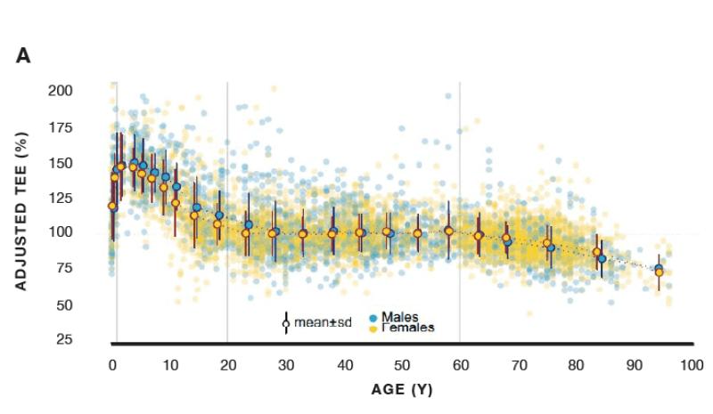 el metabolismo disminuye con la edad grafica 11