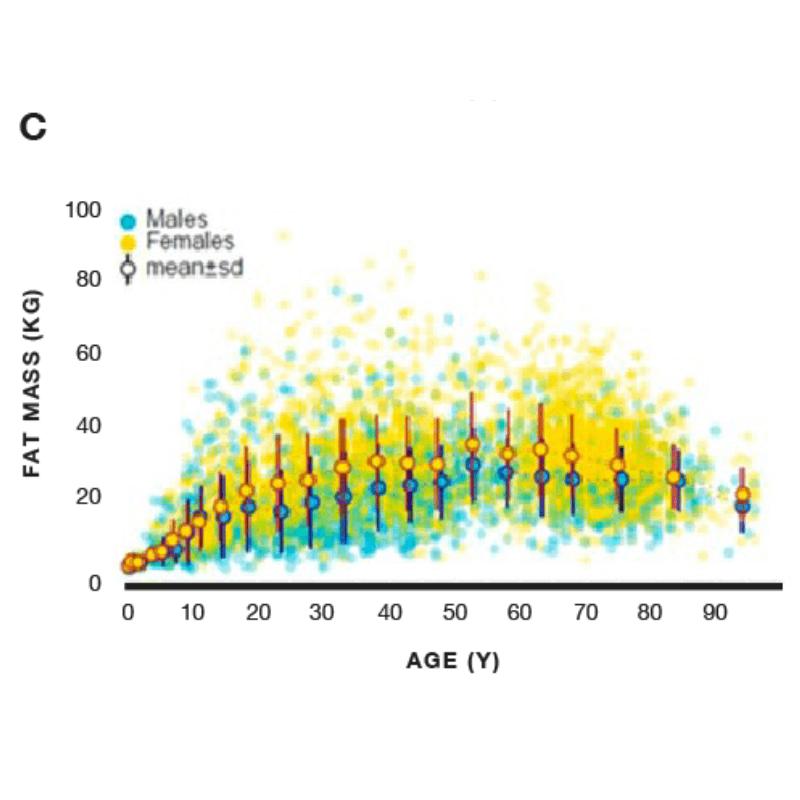 el metabolismo disminuye con la edad grafica 3