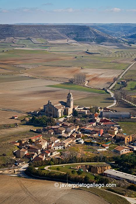 Vista desde lo alto de la torre del homenaje del Castillo de Castrojeriz con la ex -colegiata de Sata María del Manzano abajo. Siglo IX. Camino de Santiago Francés. Burgos. Castilla y León. España. © Javier Prieto Gallego