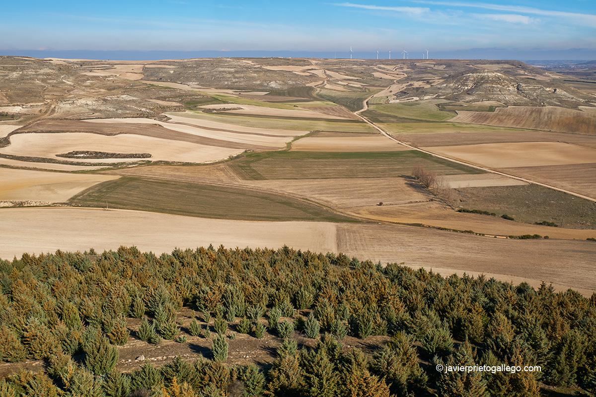 Vista desde el castillo de Castrojeriz. Camino de Santiago Francés. Burgos. Castilla y León. España. © Javier Prieto Gallego