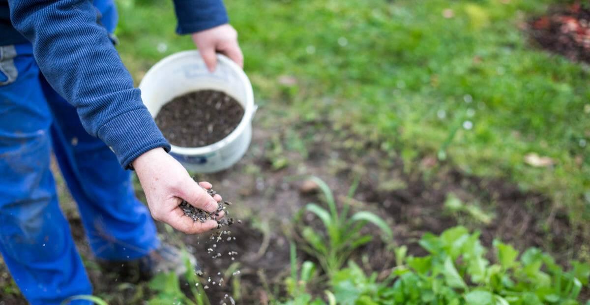 Fertilizar un huerto