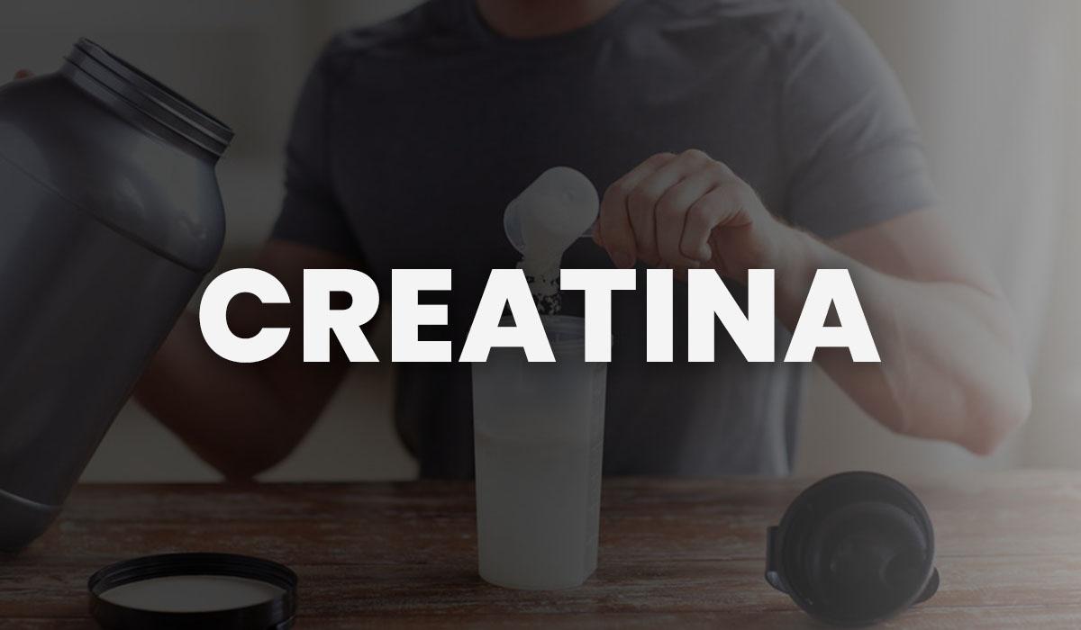 suplementos creatina
