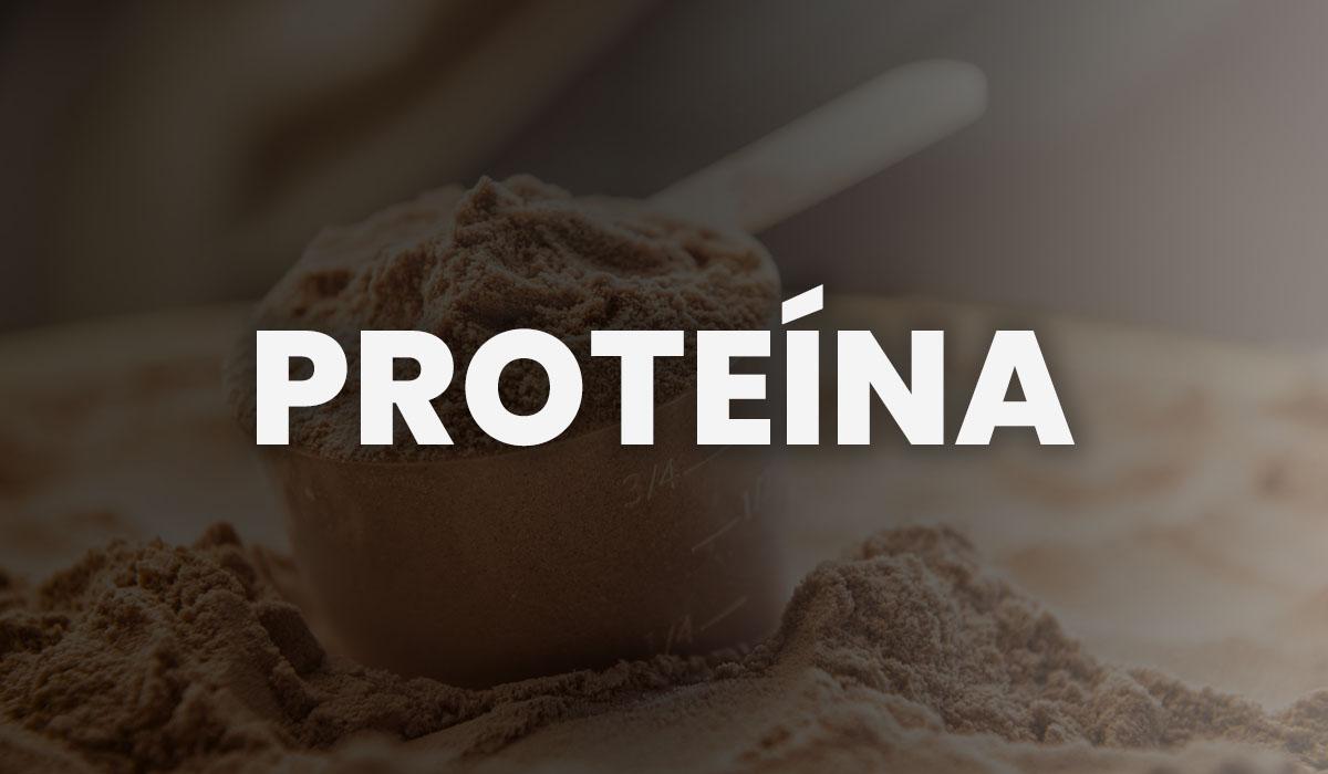 suplementos PROTEINA