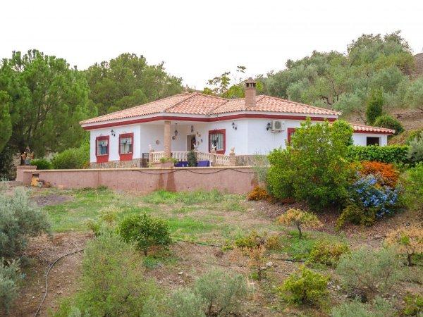 Casas rústicas alejadas de la ciudad