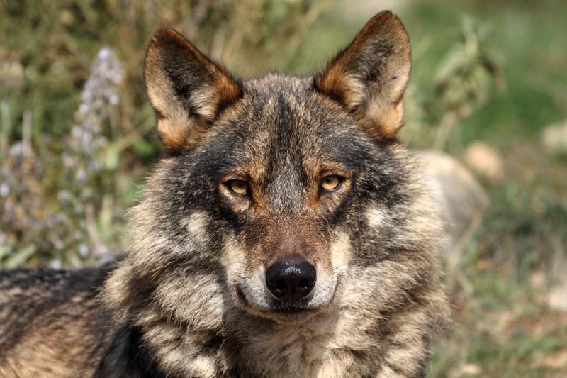 parque tematico malaga