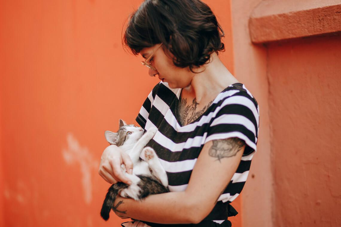 gato y humano