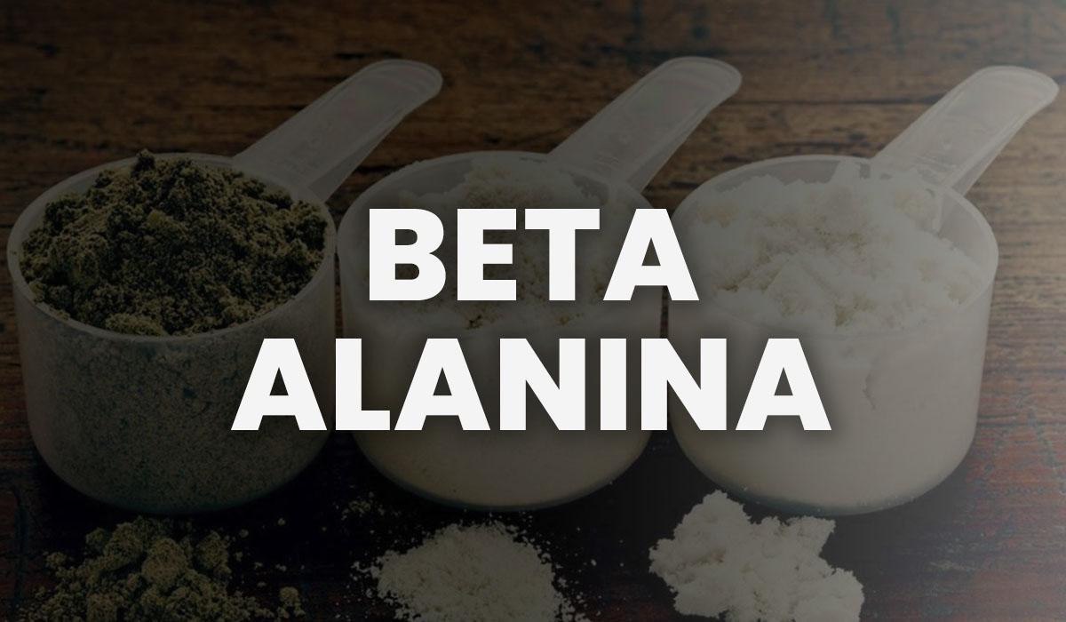 BETA ALANINA