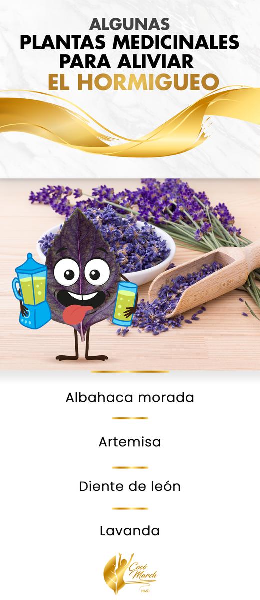 plantas-medicinales-para-el-hormigueo