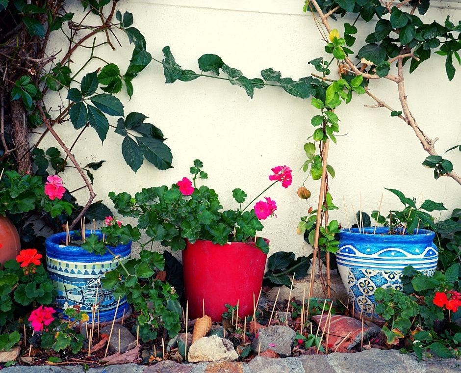 Cómo crear un jardín pequeño agrupando macetas con plantas.