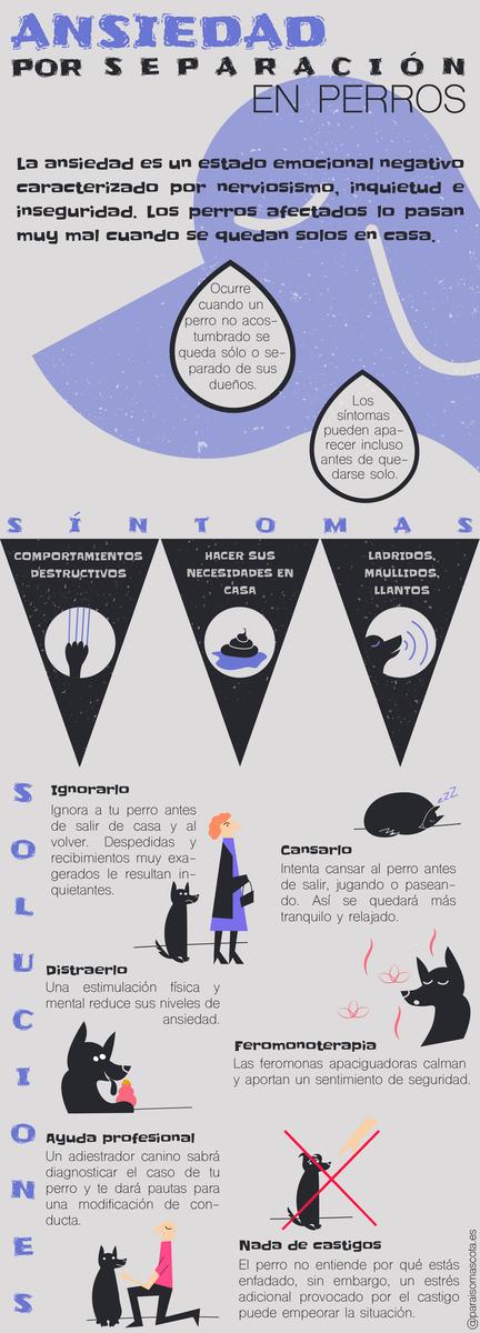 infográgico sobre la ansiedad por separación en los perros. Síntomas y soluciones.