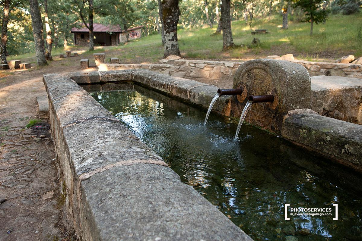 Fuente del Castaño, en el sendero señalizado "El camino de las raíces", cerca de la localidad de La Alberca. Espacio natural de la Sierra de Francia. Salamanca. Castilla y León. España. © Javier Prieto Gallego