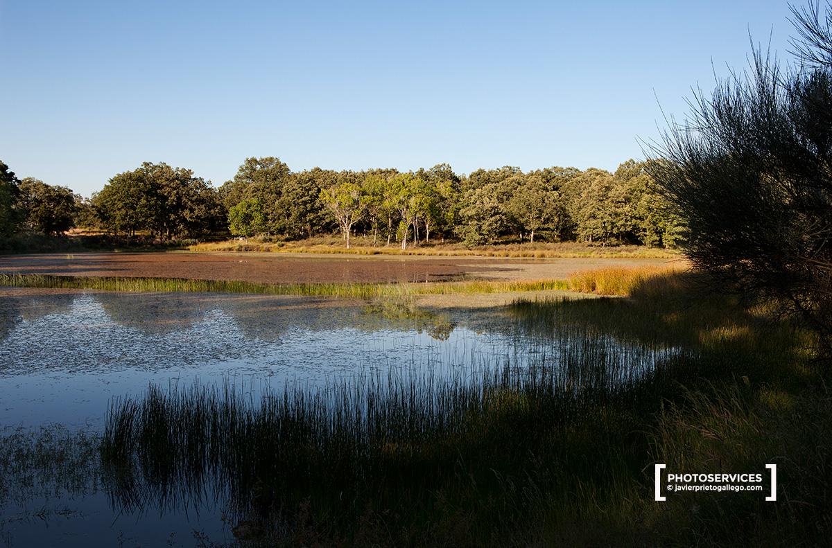 Laguna de San Marcos. Sendero Señalizado "El camino de las raíces", en la localidad de La Alberca. Espacio natural de la Sierra de Francia. Salamanca. Castilla y León. España. © Javier Prieto Gallego