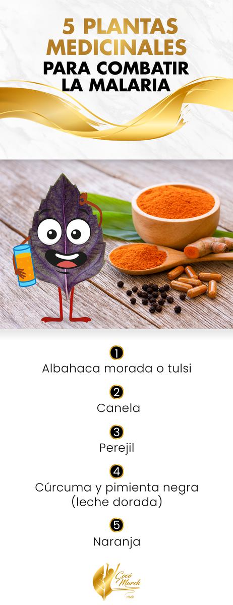 plantas-medicinales-para-combatir-la-malaria
