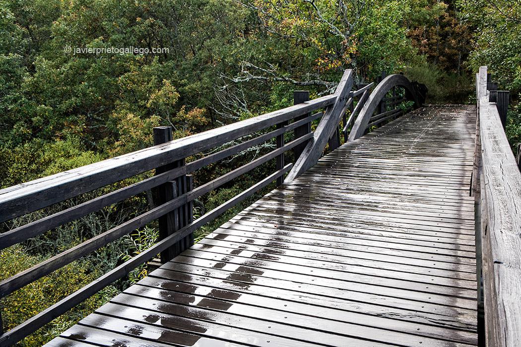 Puente sobre el Rubagón en la Senda de la Pedrosa. Barruelo de Santullán. Palencia. España © Javier Prieto Gallego;
