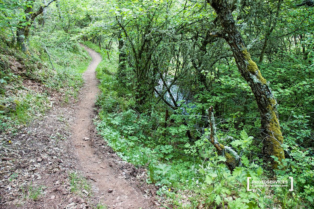 Sendero Minero de Juarros. En San Adrián de Juarros. Burgos.Castilla y León. España. © Javier Prieto Gallego