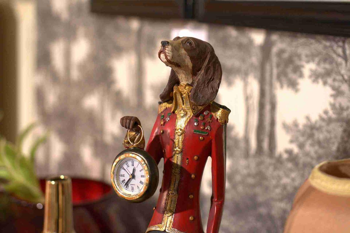 el reloj interno de los perros