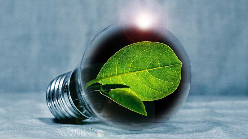 Cómo reducir y compensar la huella de carbono