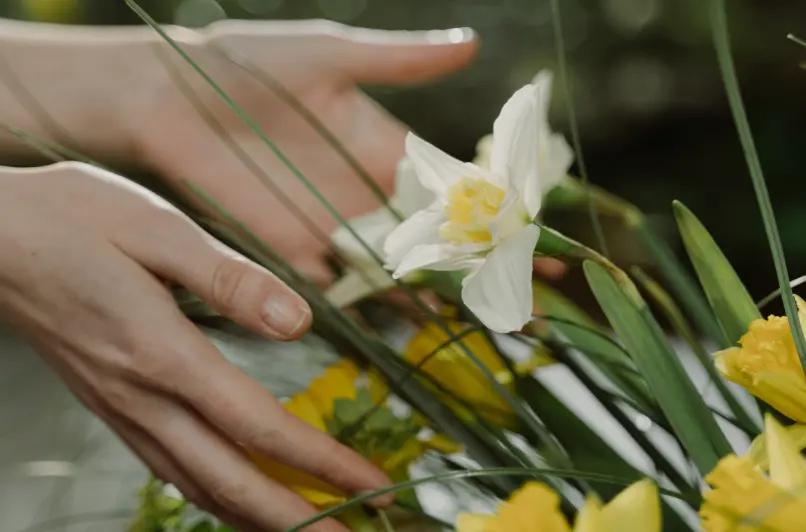 Manos cuidando flores