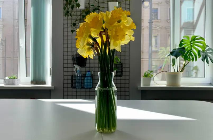 Florero iluminación