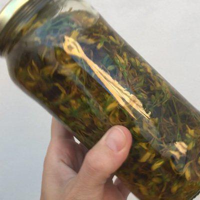 remover el aceite de hiperico